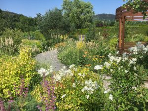 "Ein Garten für alle fünf Sinne" - ein Sommerabend im Ewigen Garten @ Ewiger Garten